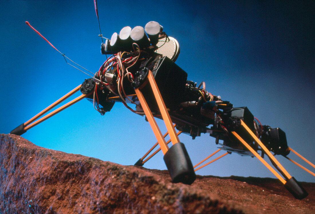 Robot insect 'Genghis',MIT