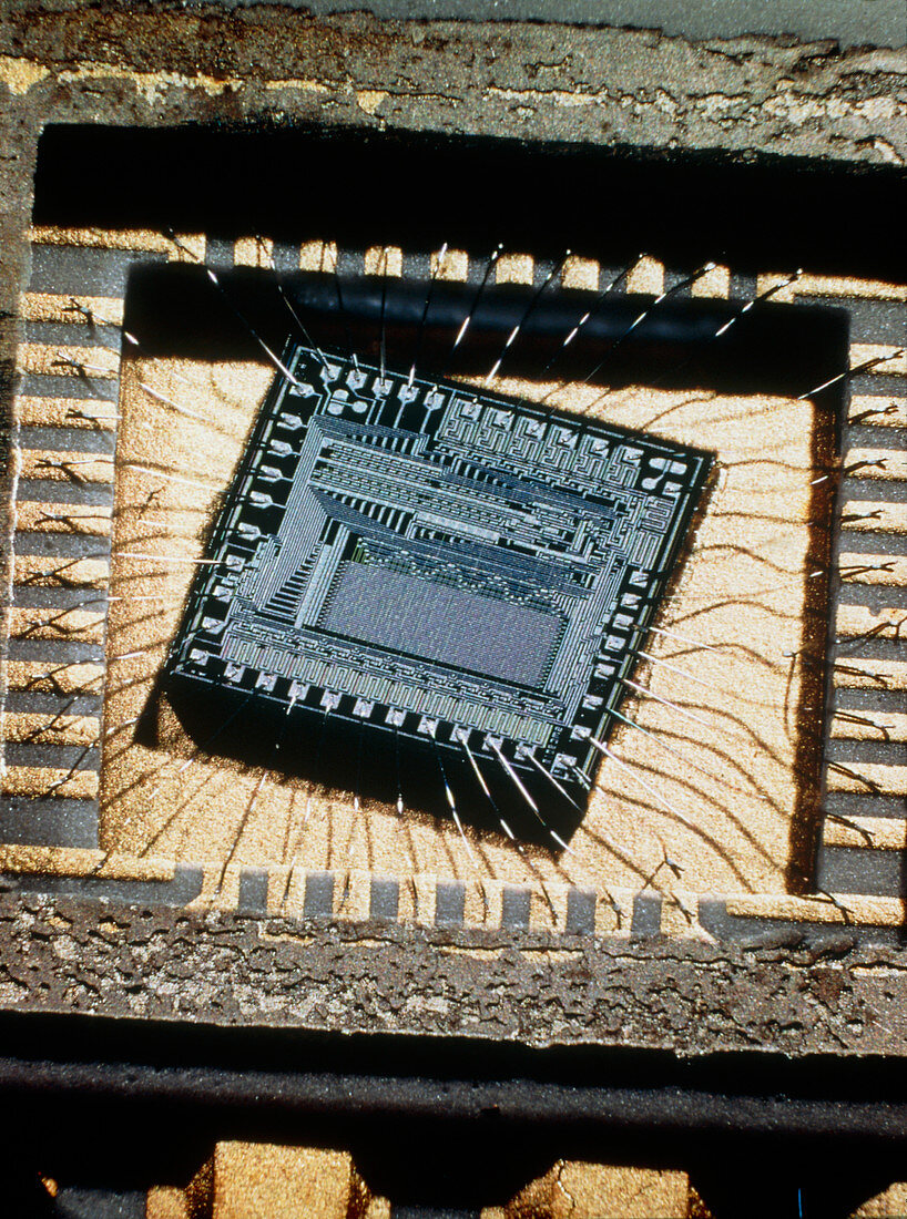 Macrophotograph of a computer chip