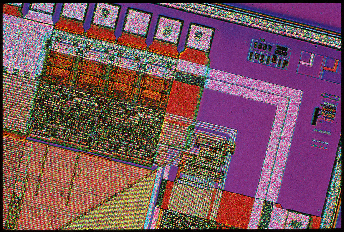 Light micrograph of an integrated circuit