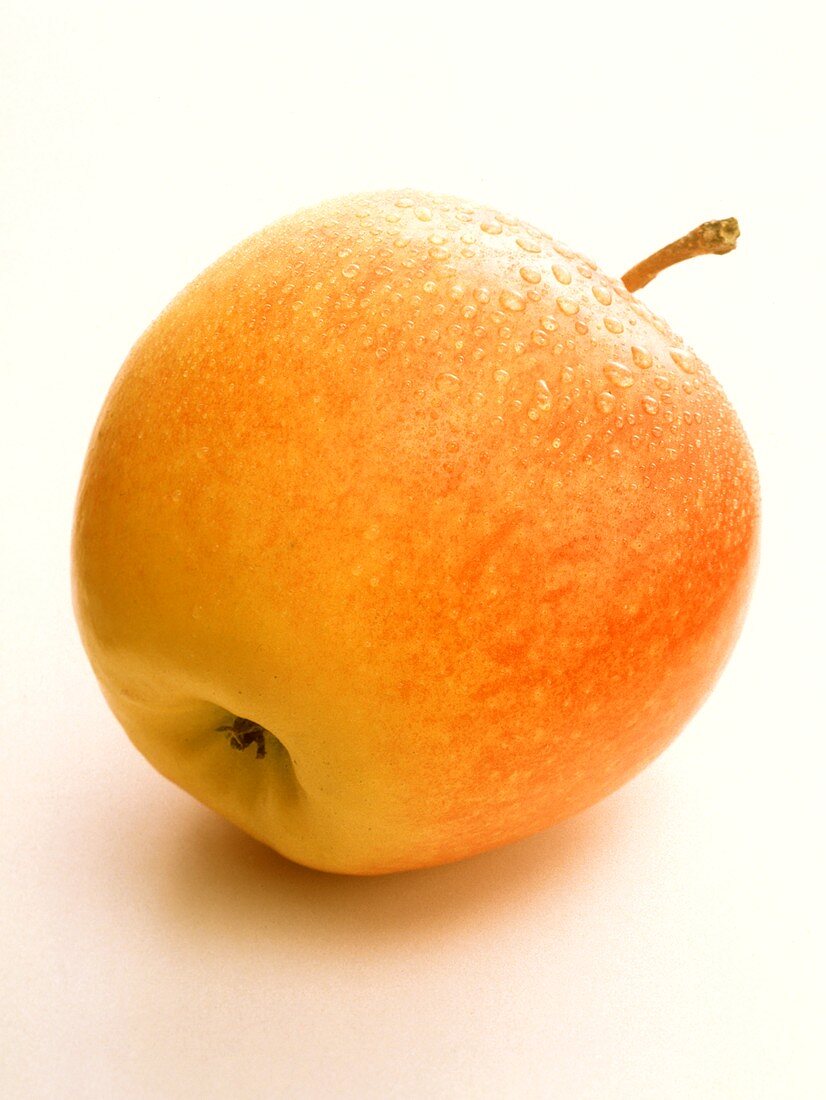 Oranger Apfel mit Wassertropfen (Cox Orange)