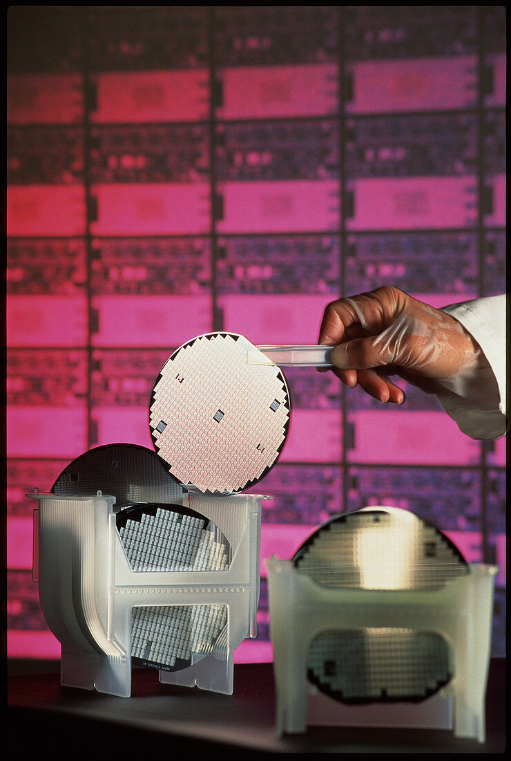 Semiconductor wafer in a quality control laboratry