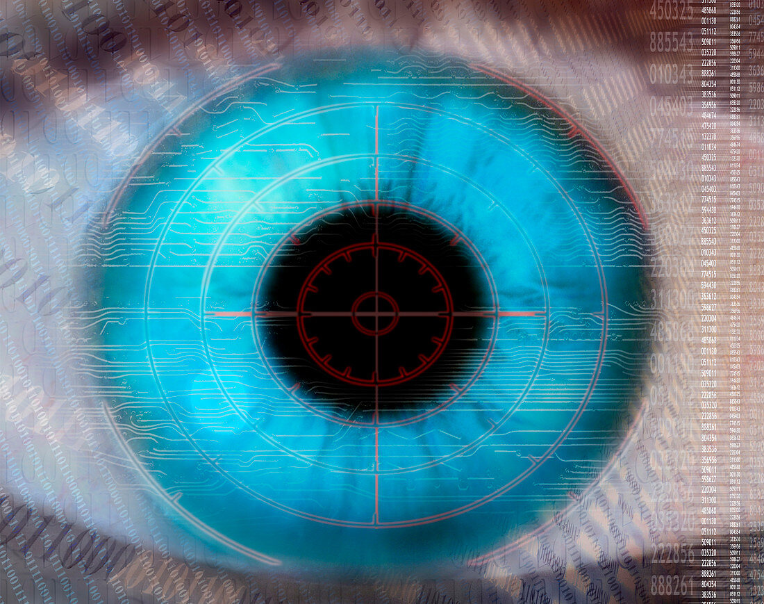 Biometric eye scan