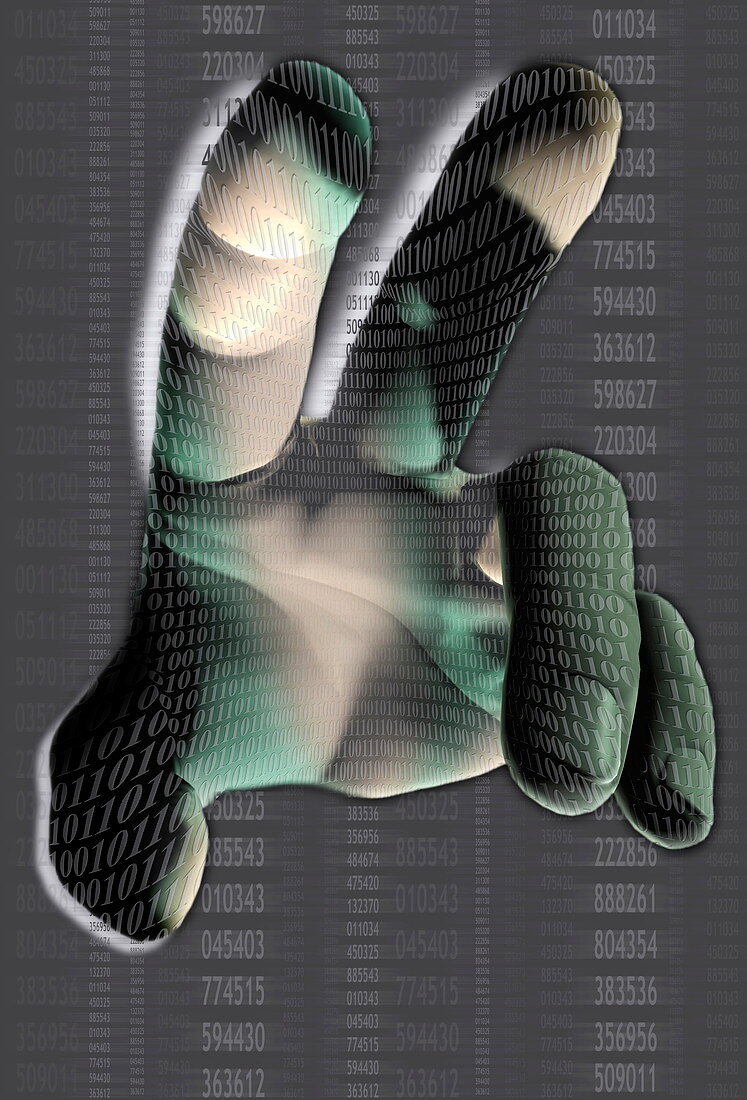 Hand biometrics