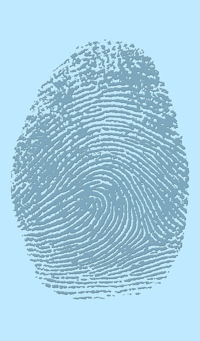 Thumbprint