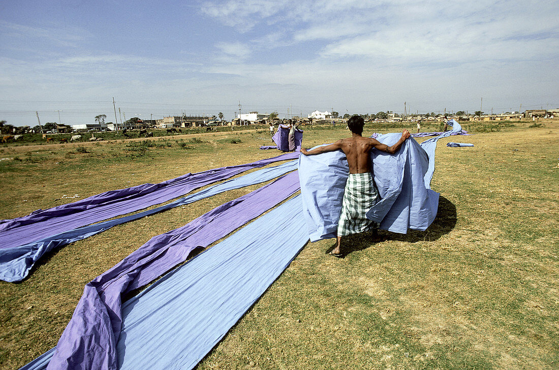 Drying Dried Cotton