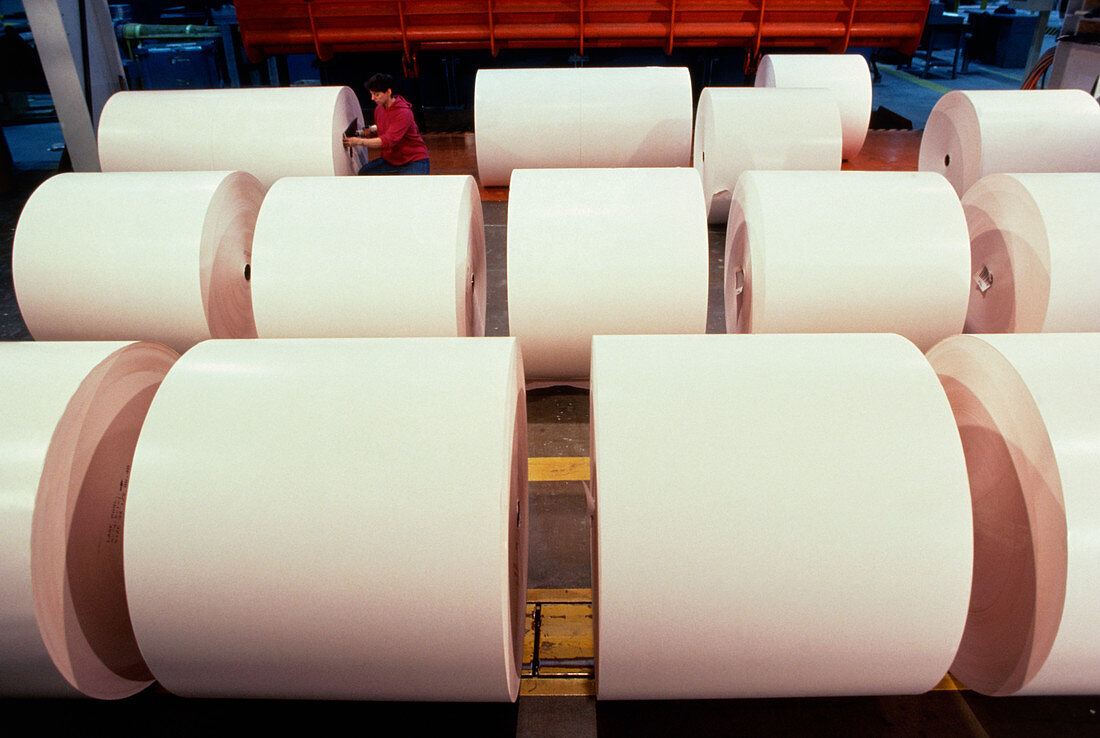 Rolls of paper at mill