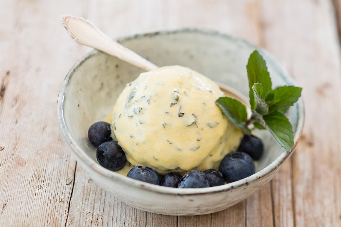 Vegan ice cream with coconut milk, cracked lupine and blueberries