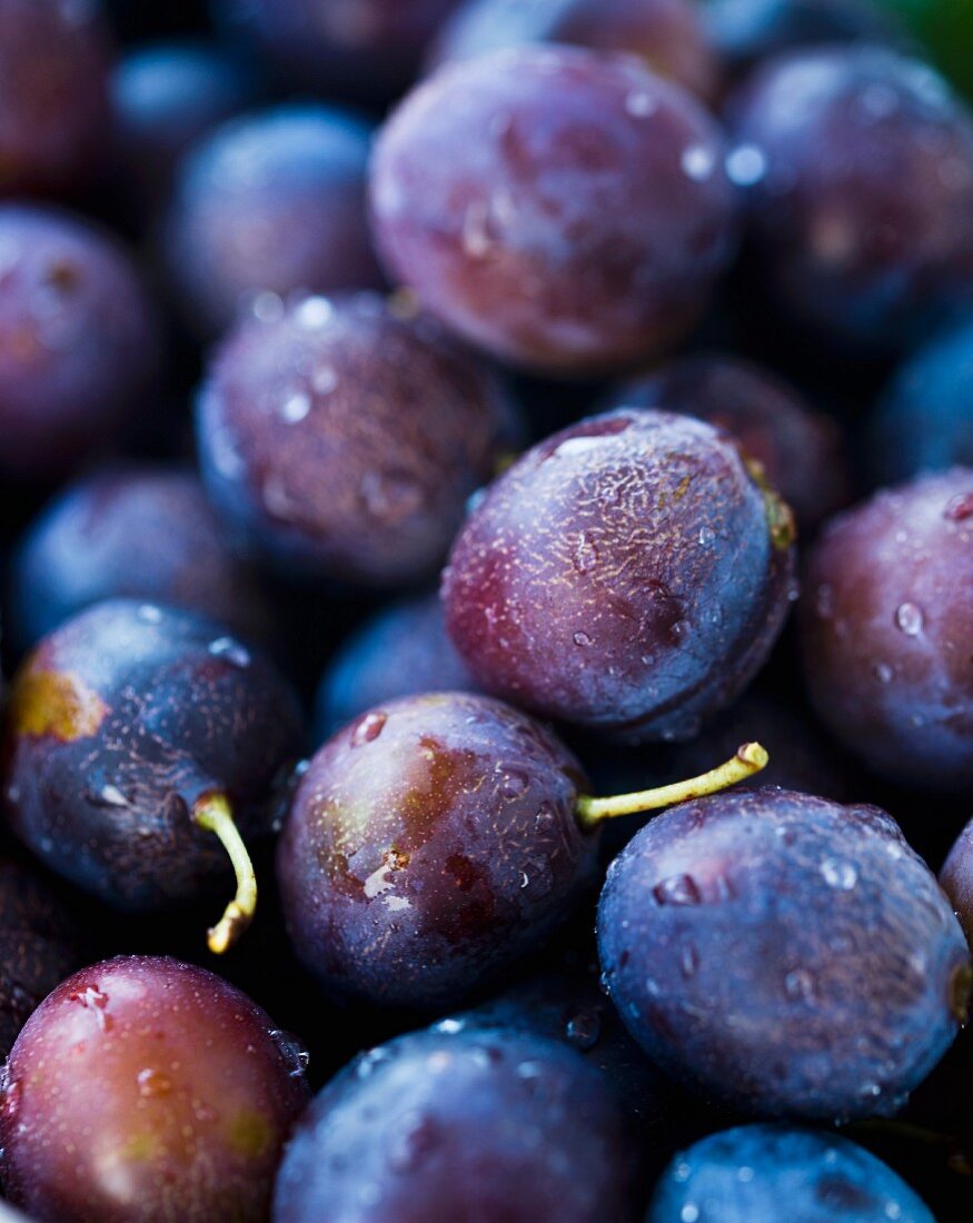 Fresh plums with droplets of water