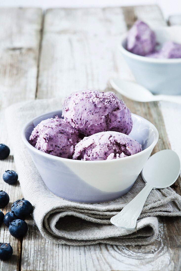 Blueberry ice cream with blueberries