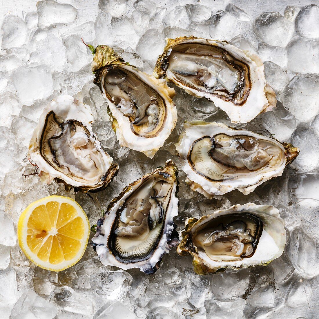 Open Oysters and lemon on ice