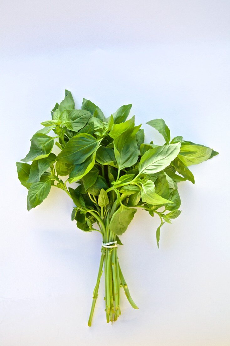 A bunch of fresh basil against a white background