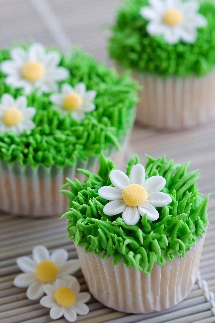 Mini-Cupcakes mit grüner Buttercreem und Zucker-Gänseblümchen
