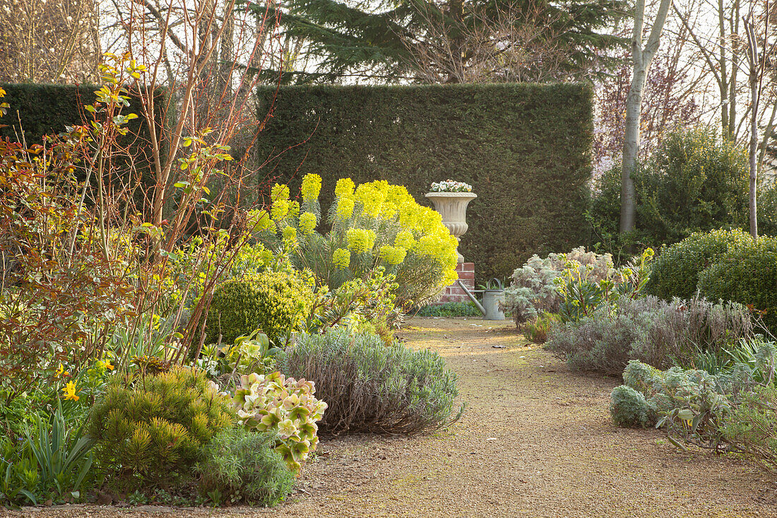 Frühlingserwachen im Garten im englischen Stil