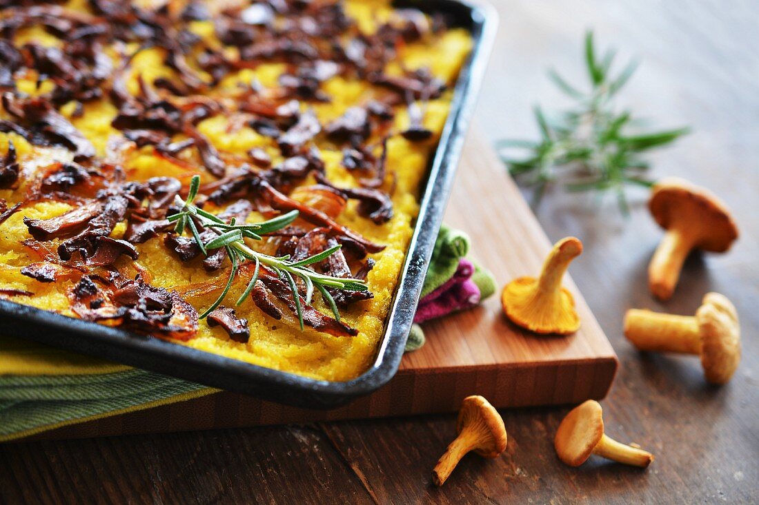 Polentakuchen mit Pfifferlingen und Zwiebeln auf Backblech, frische Pilze und Rosmarinzweige daneben