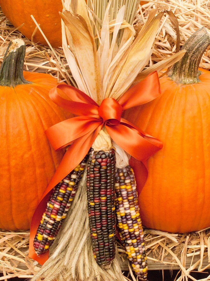 Sweetcorn and pumpkins on straw