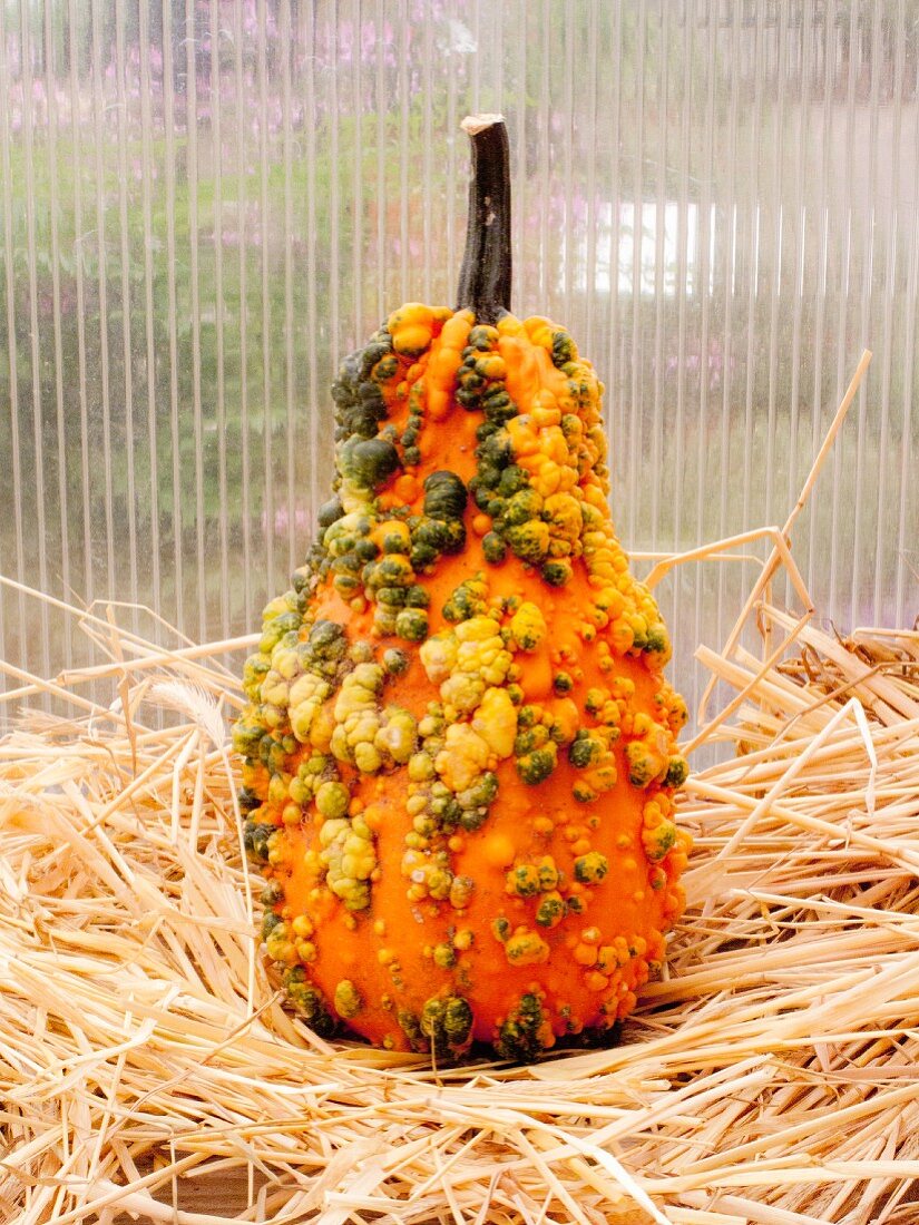 A decorative pumpkin on straw