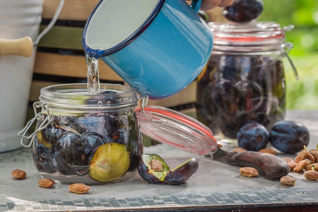 Plums being preserved in glass jars