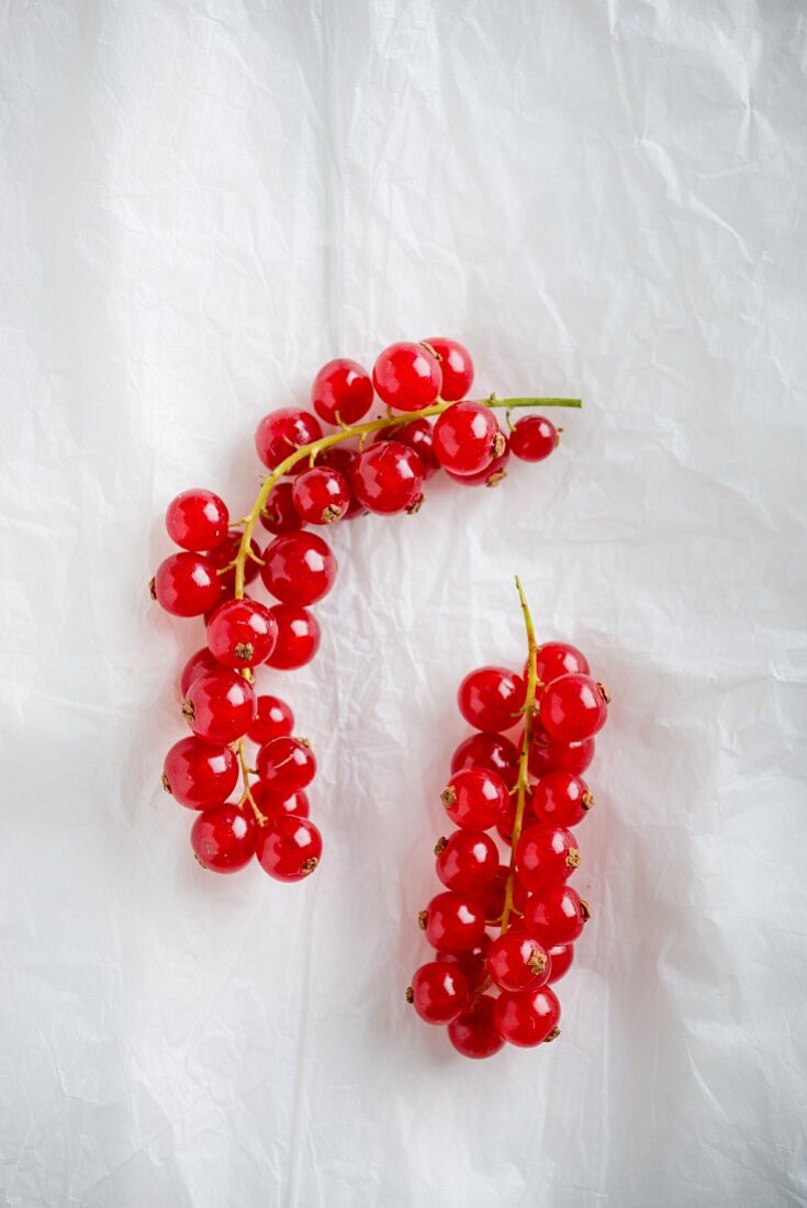 2 sprigs of redcurrants on paper (seen from above)
