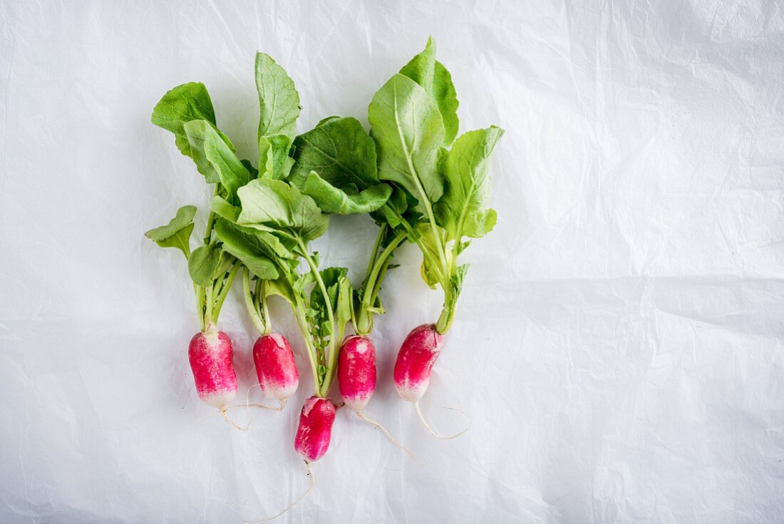 Several radishes on paper (seen from above)