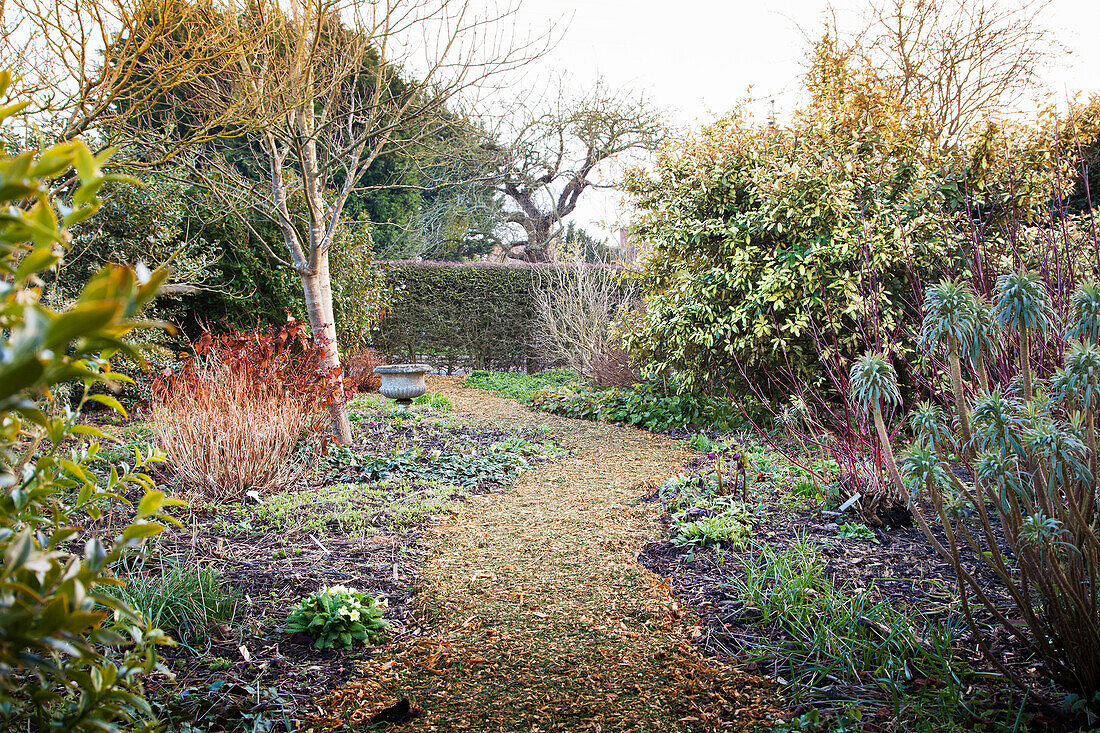 Weg durch einen naturnahen Garten im Winter