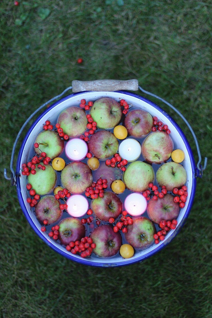 Floating candles, apples and berries in a bucket of water as an autumn decoration