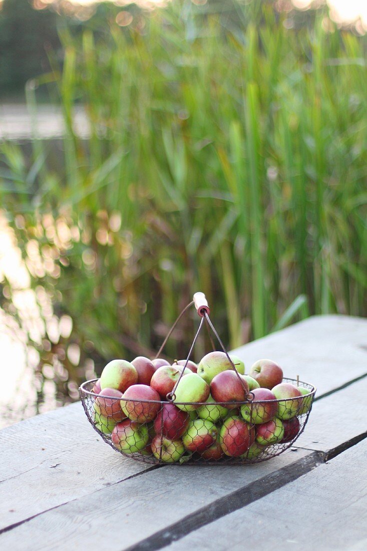Drahtkorb mit Äpfeln auf Tisch im Freien