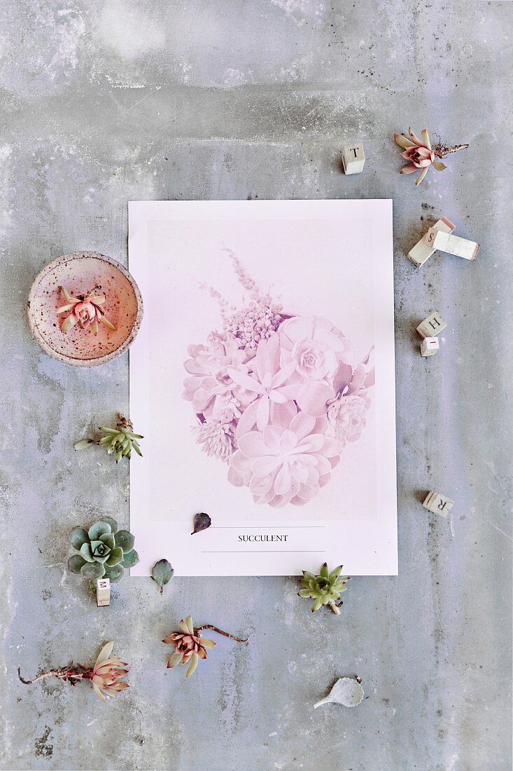 Succulents, letter stamps and pastel photo print