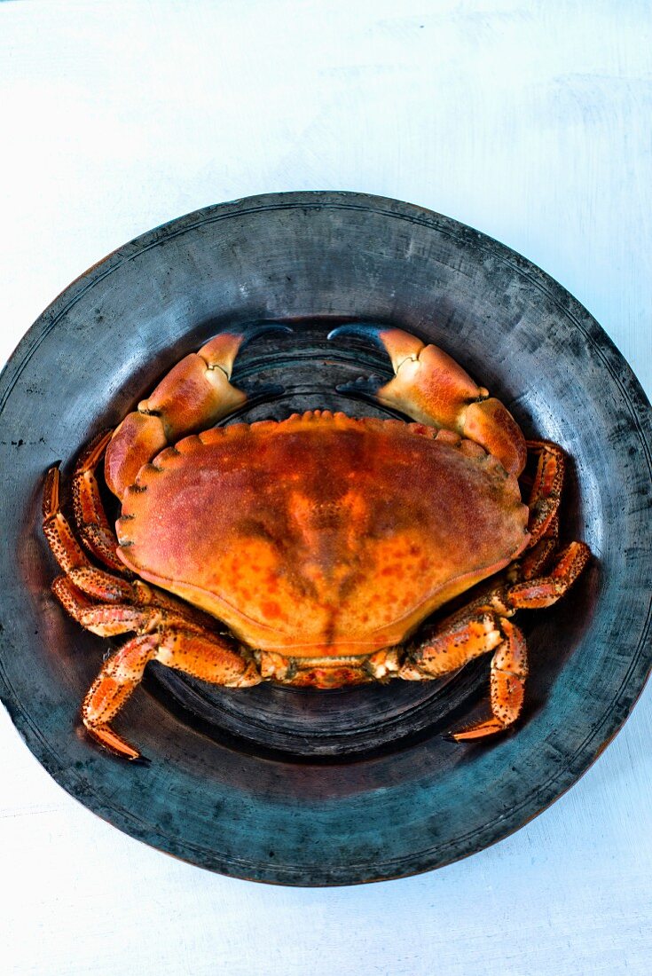 A crab on a tin plate (seen from above)