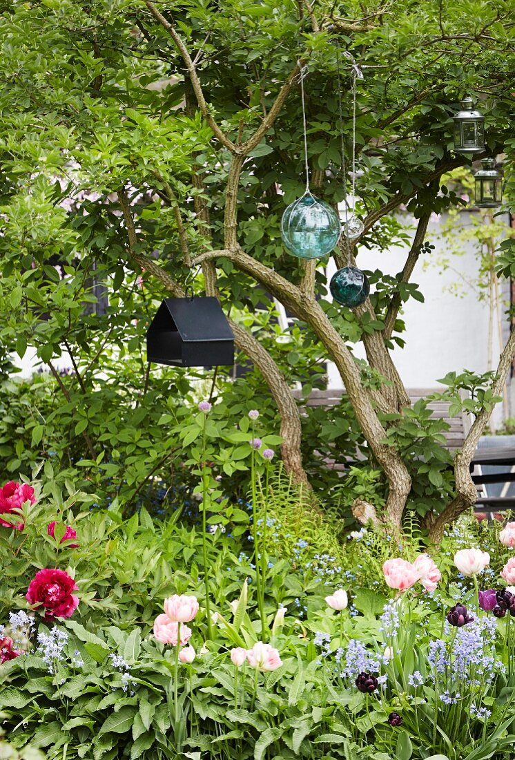 Frühlingsblumen, aufgehängte Glaskugeln und Vogelhaus im Garten