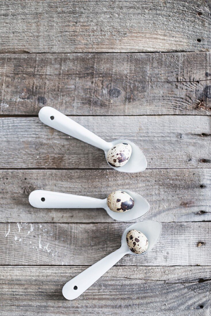 Quail eggs on three metal spoons on weathered wooden surface