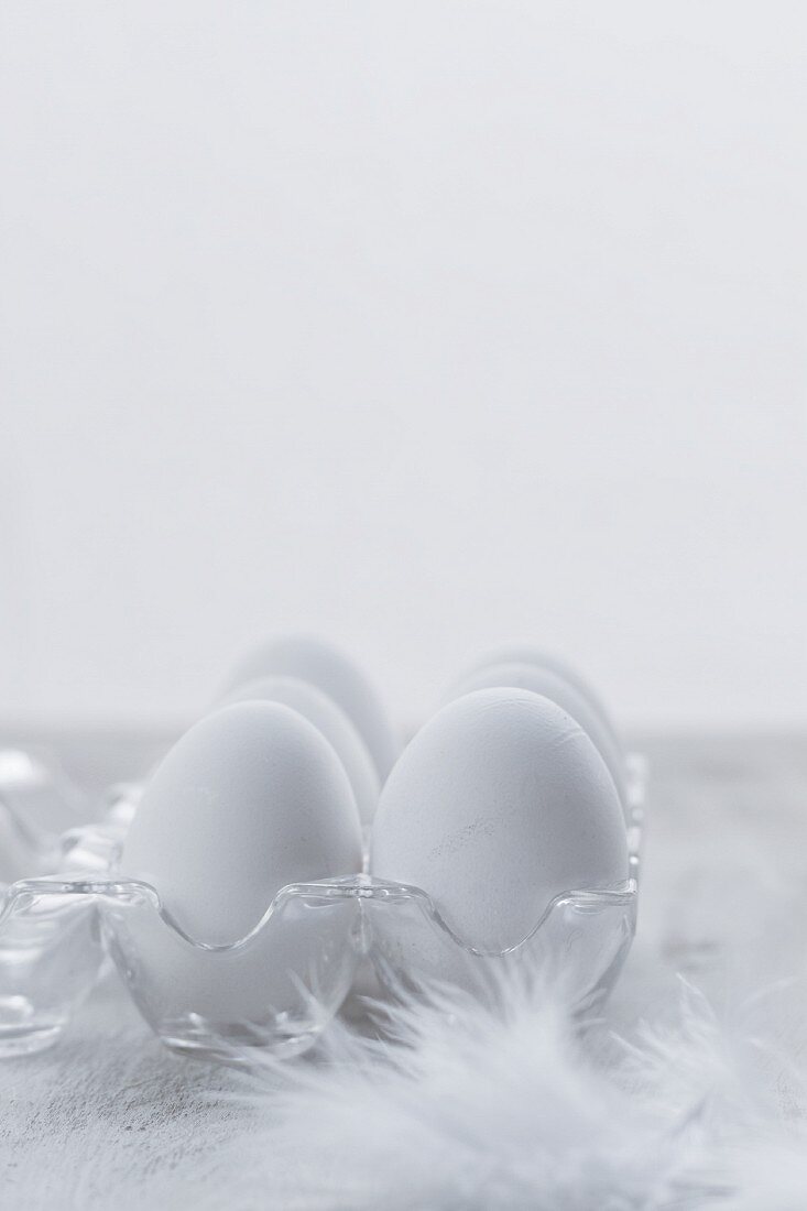 weiße Eier im durchsichtigen Eierbehälter