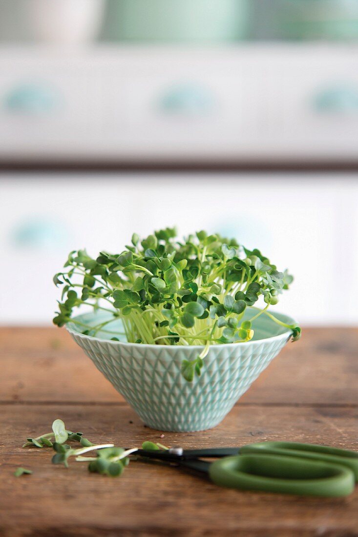 Fresh cress in a bowl