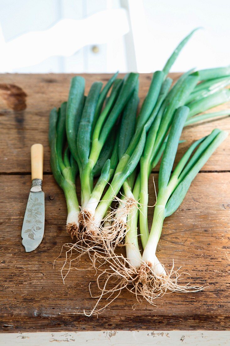 Fresh spring onions on a wooden table
