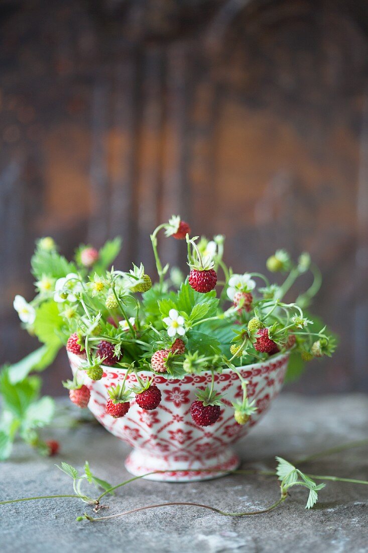 Wild strawberries with flowers in a ceramic bowl