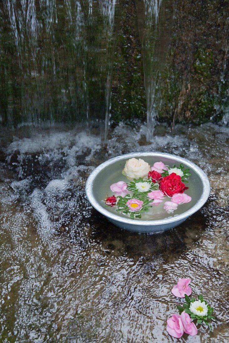 Zinkschale mit Wasser und schwimmenden Blumen im Bach