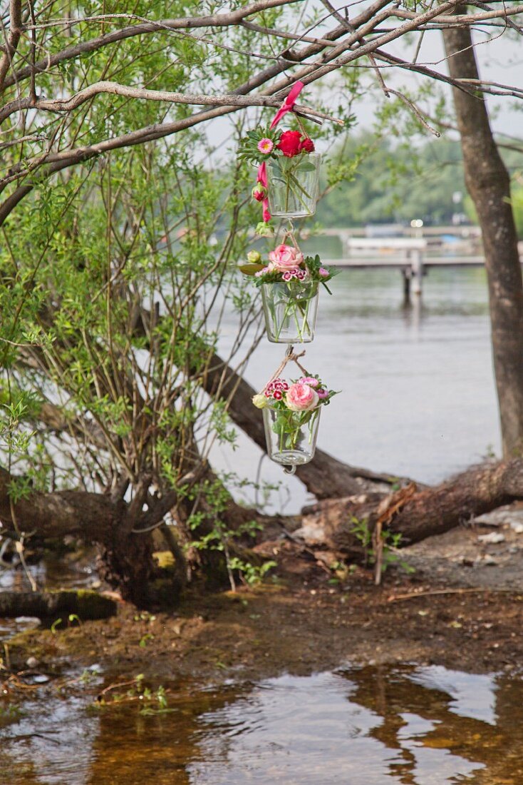 Roses and sweet Williams in three suspended vases on river shore