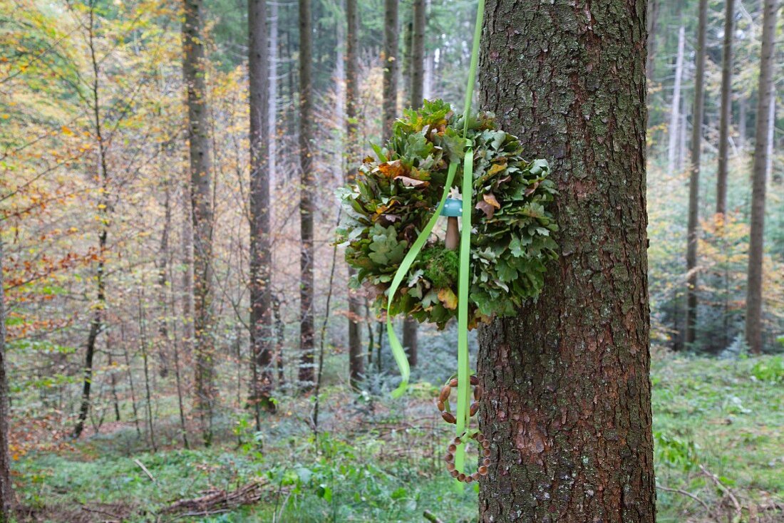 Kranz aus Eichenlaub mit Stoffbändern hängt am Baum