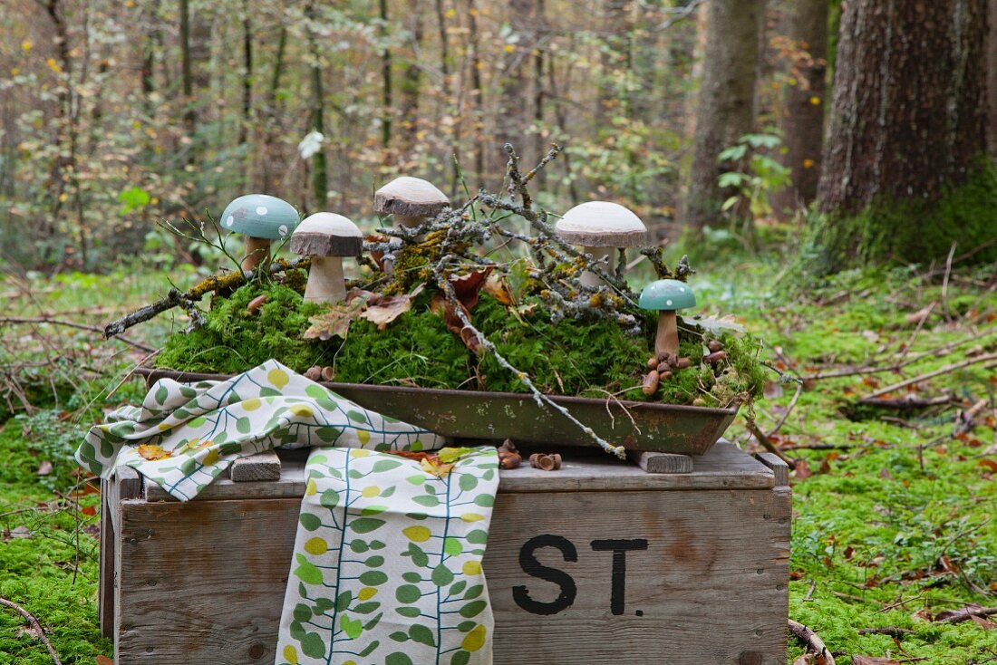 Wooden toadstools and moss on tray on old wooden crate in woods