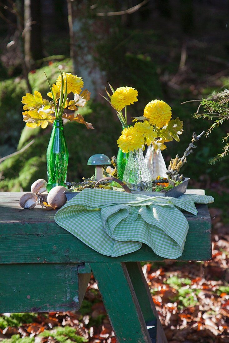 Yellow flowers in glass bottles on metal tray in woods