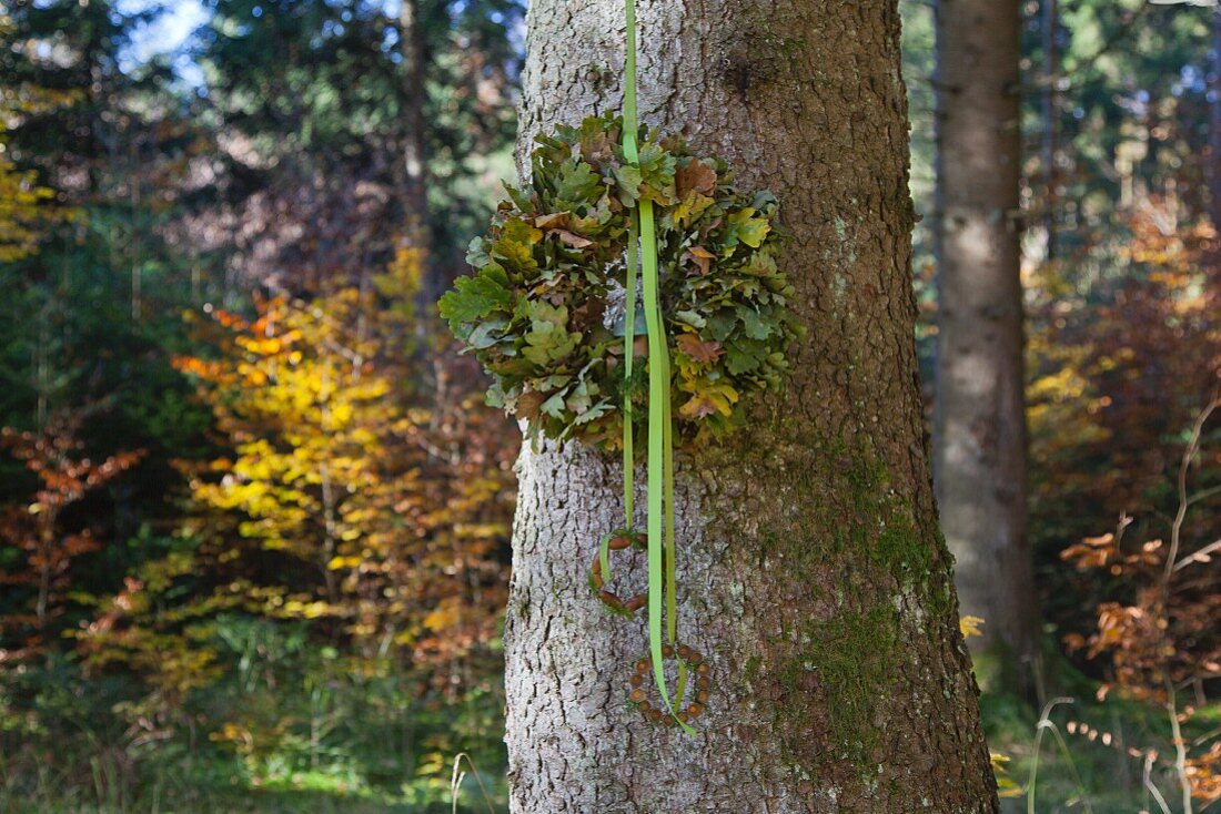 Kranz aus Eichenlaub mit Stoffbändern hängt am Baum
