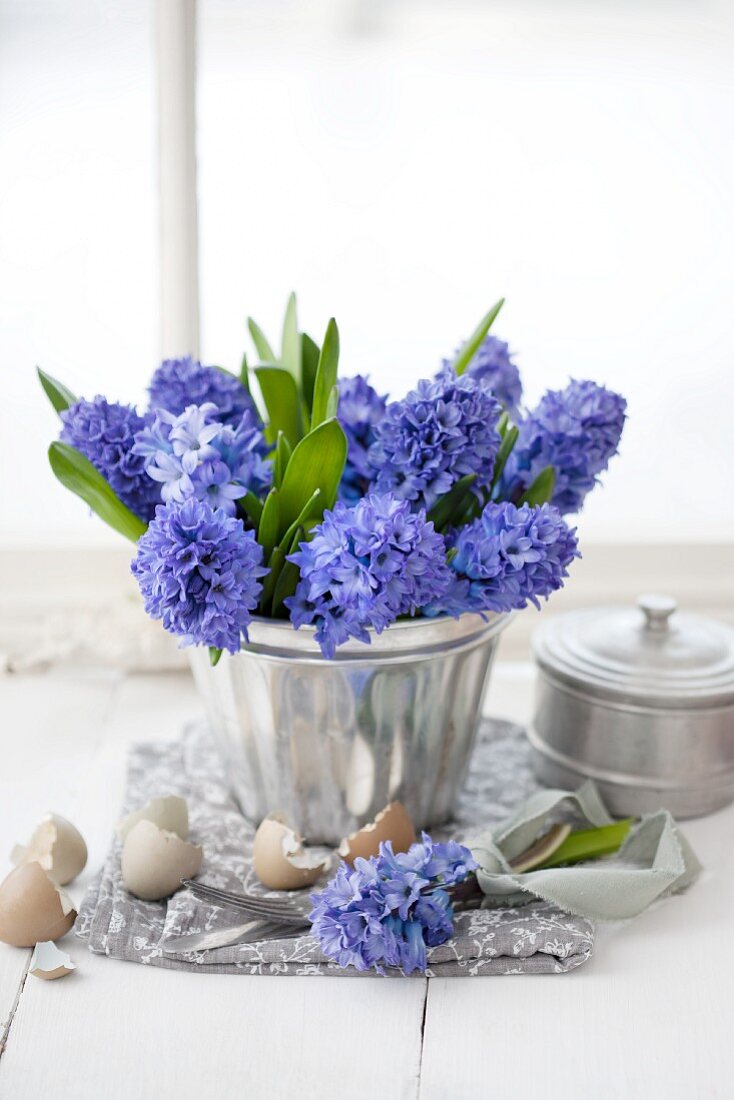 Blue hyacinths in silver jelly mould surrounded by egg shells