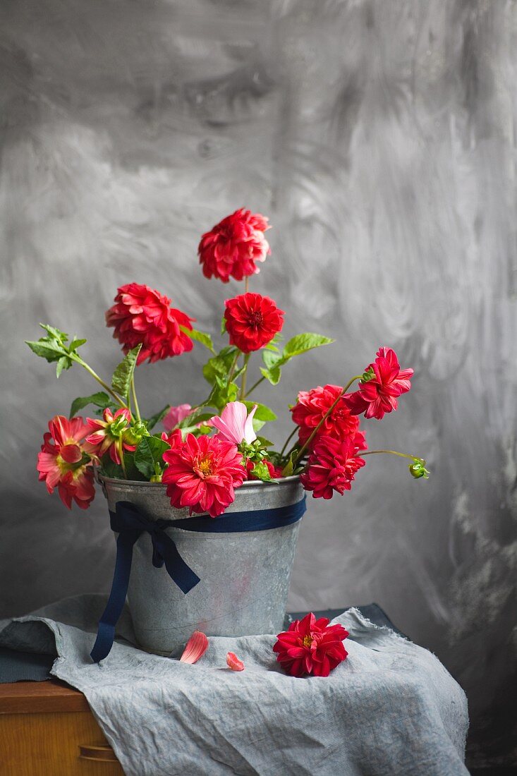 Red dahlias in zinc bucket