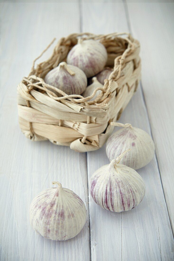 Chinese garlic