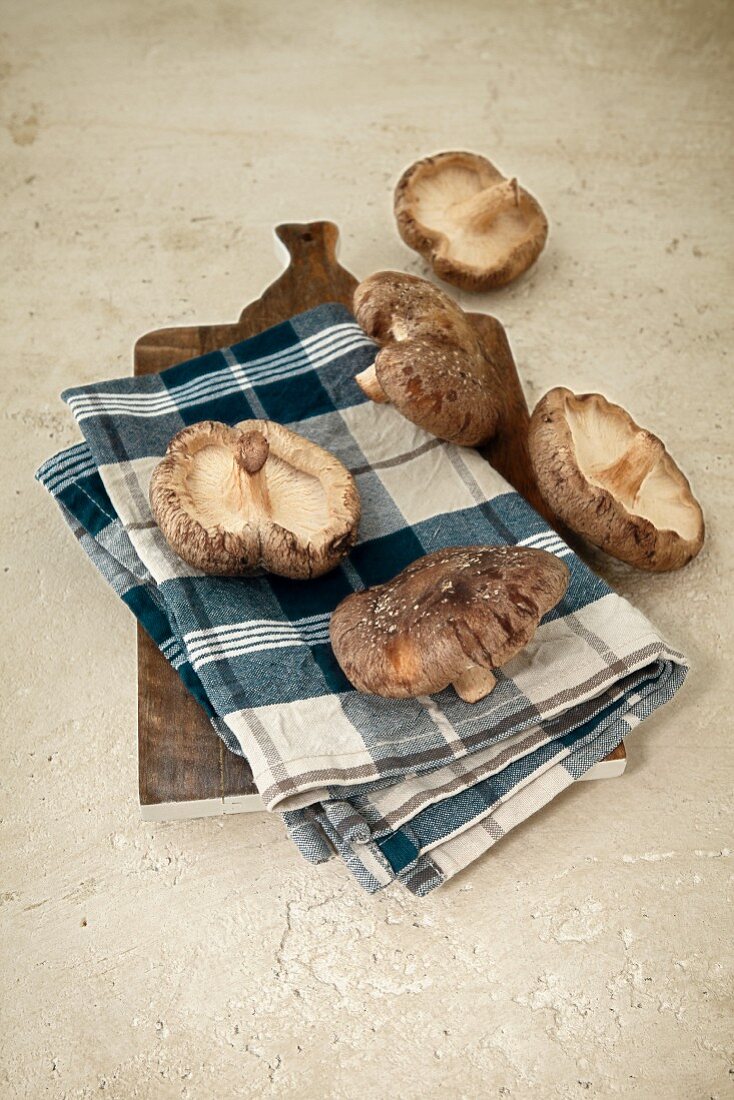 Five shiitake mushrooms on a tea towel