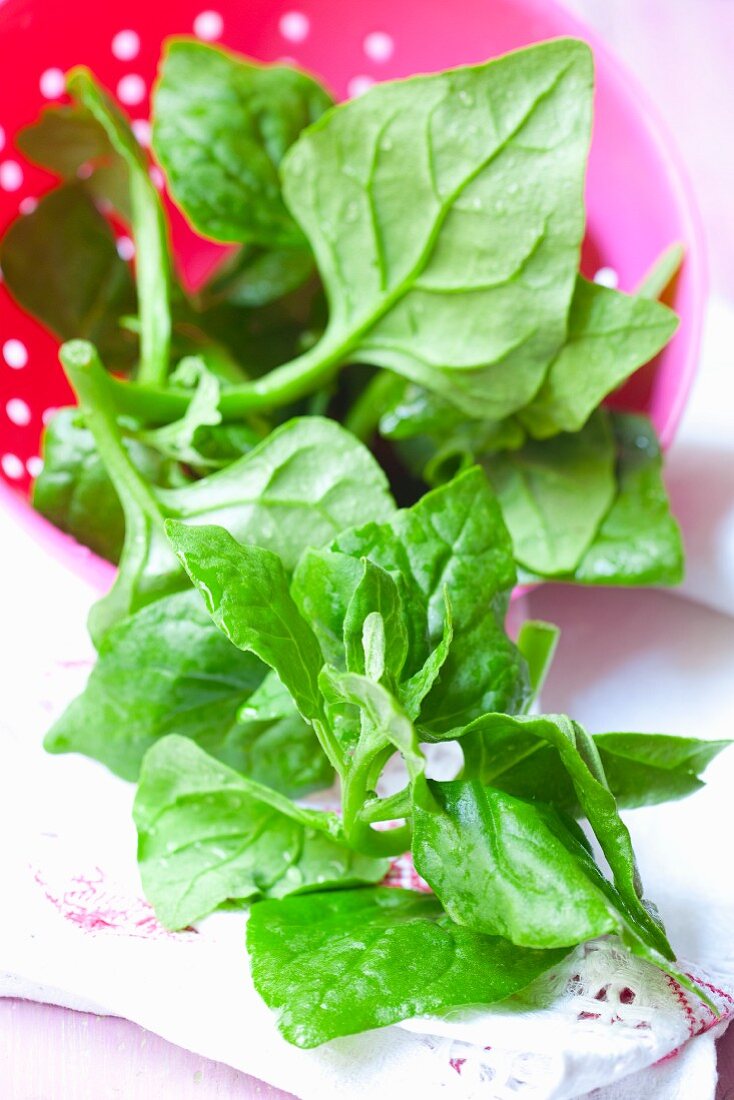 Fresh New Zealand spinach in a dish
