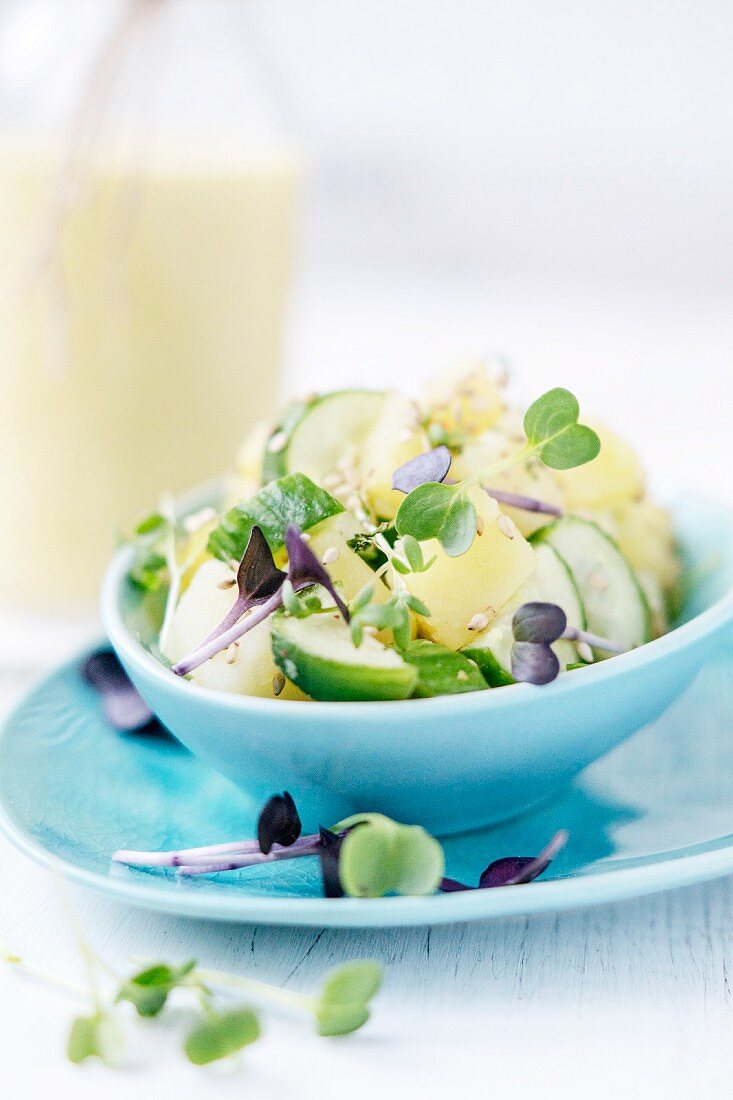 Potato salad with cucumber and curry and yoghurt dressing