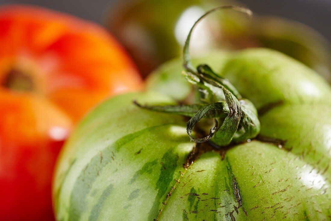 Heirloom tomatoes from York County, Pennsylvania, USA