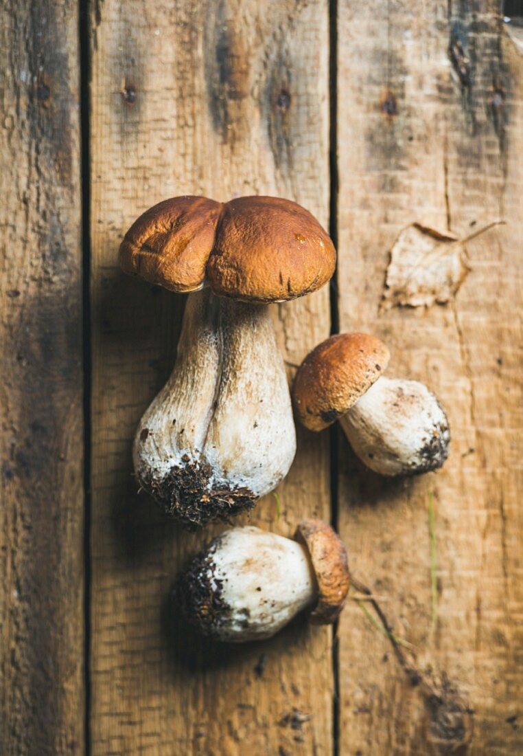 Frische Steinpilze auf rustikalem Holzuntergrund