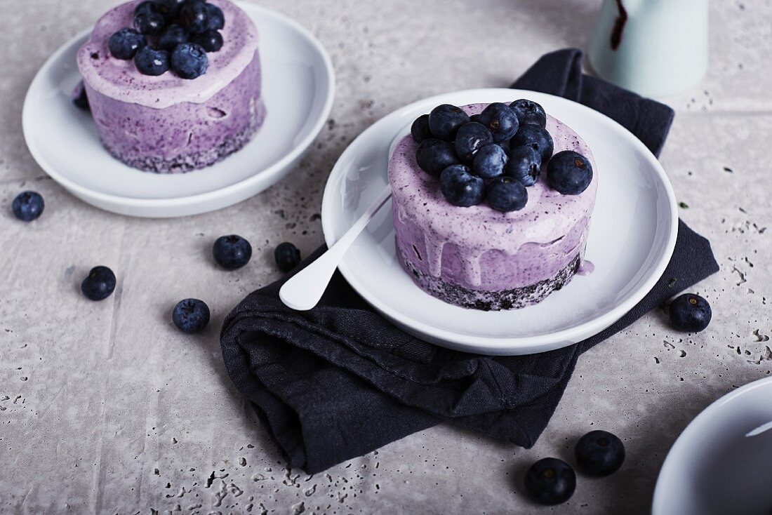 An ice cream cake with a biscuit base and blueberries