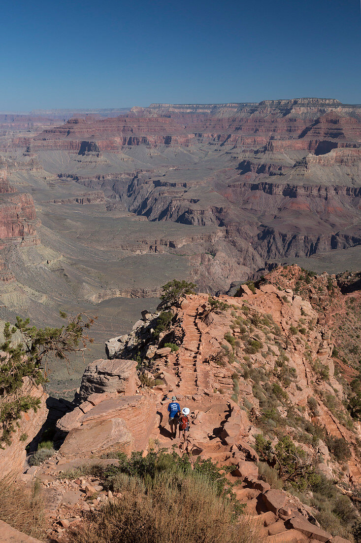 Hikers in the Grand Canyon